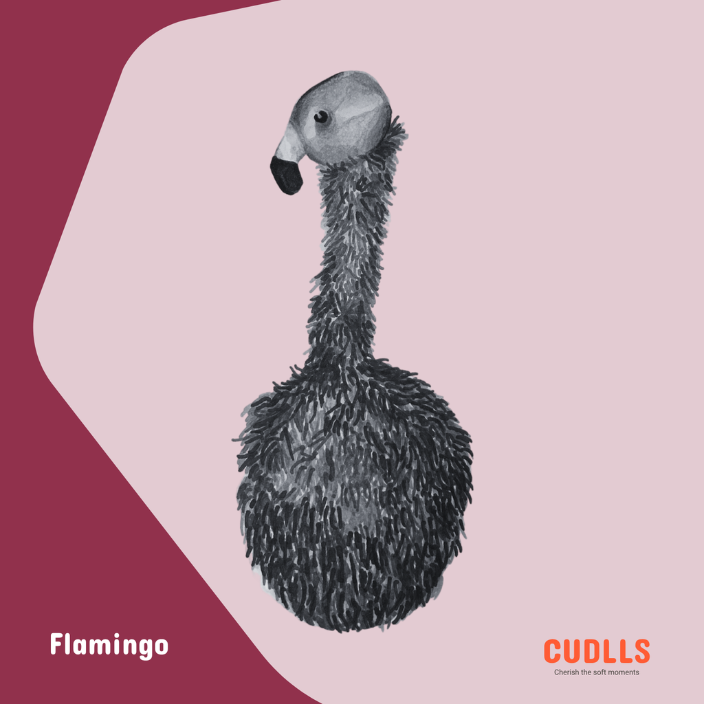 Muurschilderpakket - Flamingo